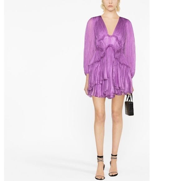 NWT Maria Lucia Hohan Alara Ruffled Minidress - Picture 4 of 16